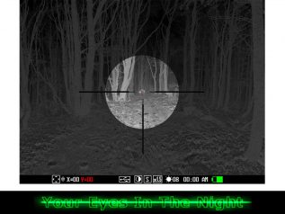 digital night vision vildsvine jagt sverige